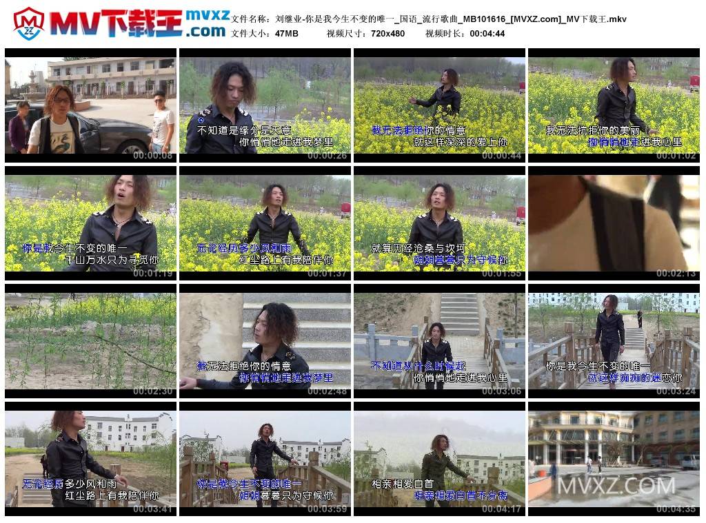 刘继业-你是我今生不变的唯一_国语_流行歌曲_MB101616